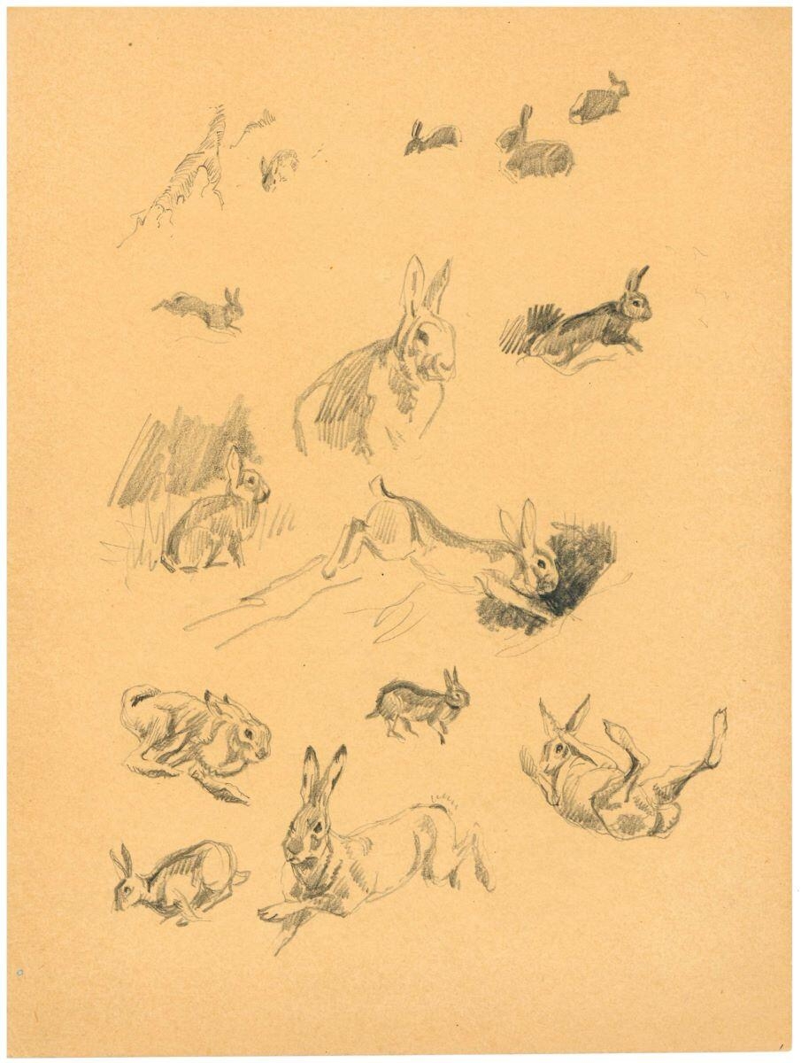 Étude de lapin et de lièvre, Charles-Jean Hallo
