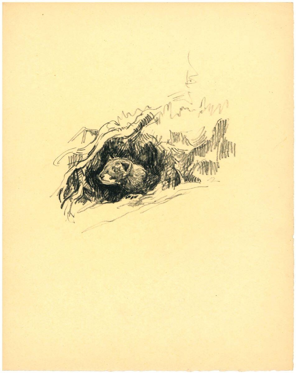 Loutre dans sa tanière, Charles-Jean Hallo