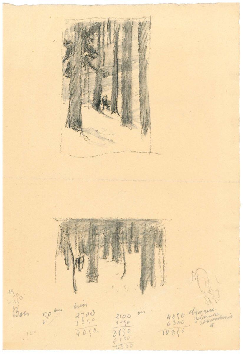 Loup au milieu d'une forêt_0