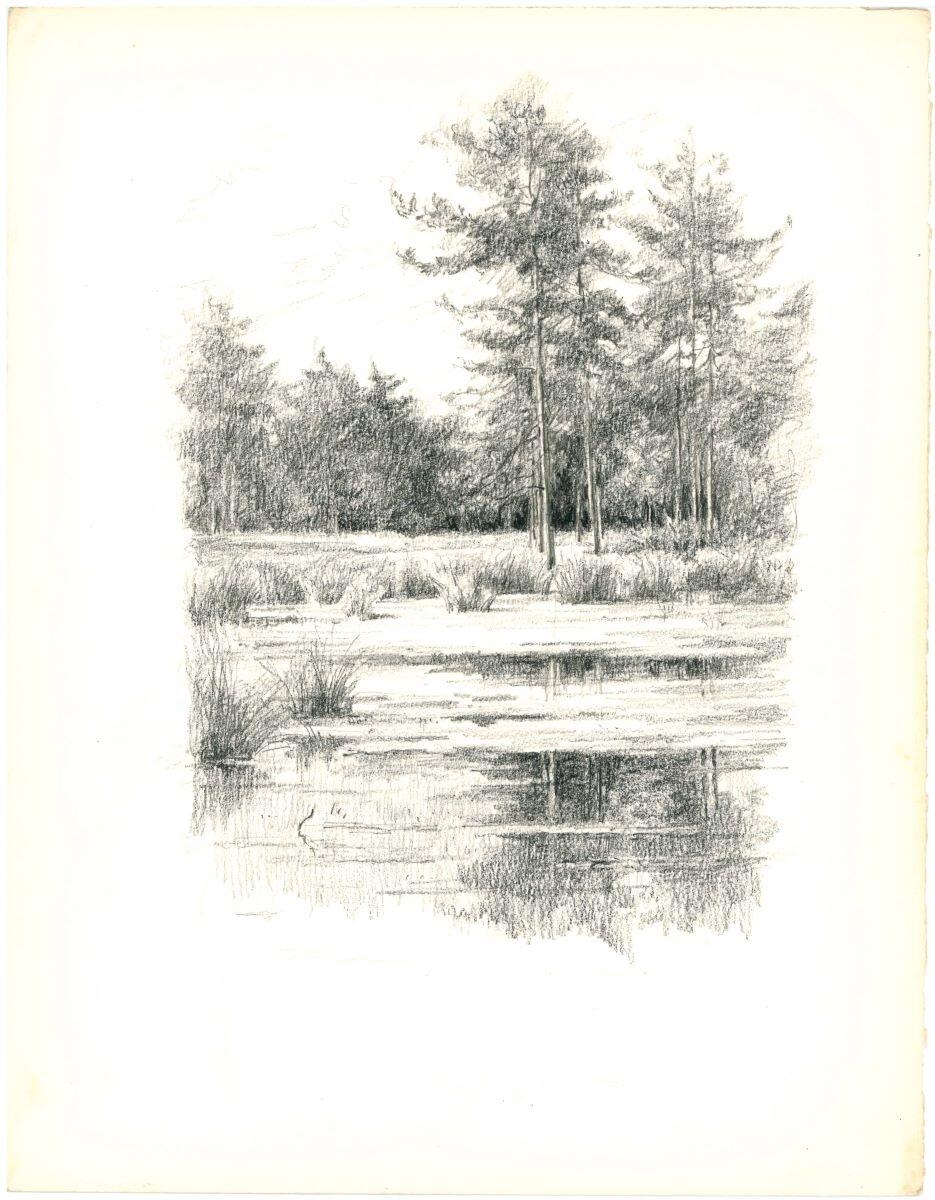 Étang, Charles-Jean Hallo