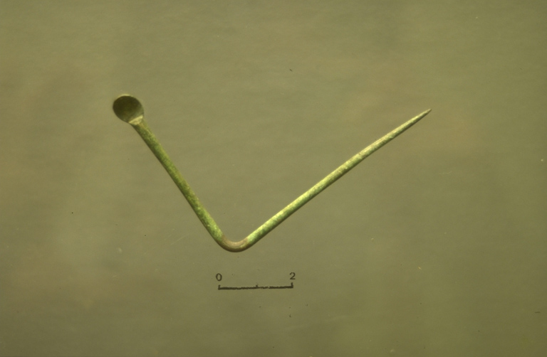 Cure-oreille (Riha Ohrloffelche E)_0