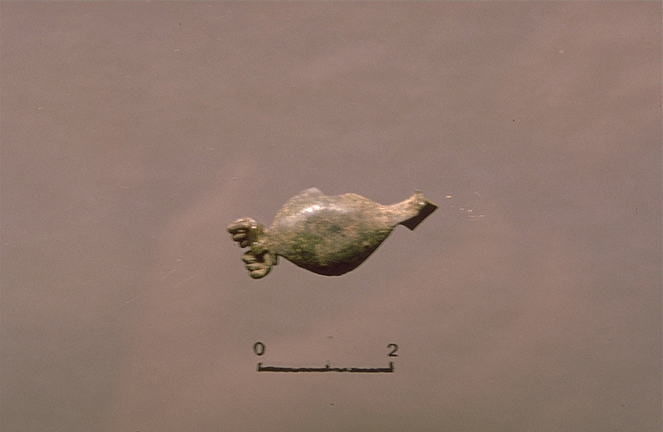 Fibule (Feugère 11 C)_0
