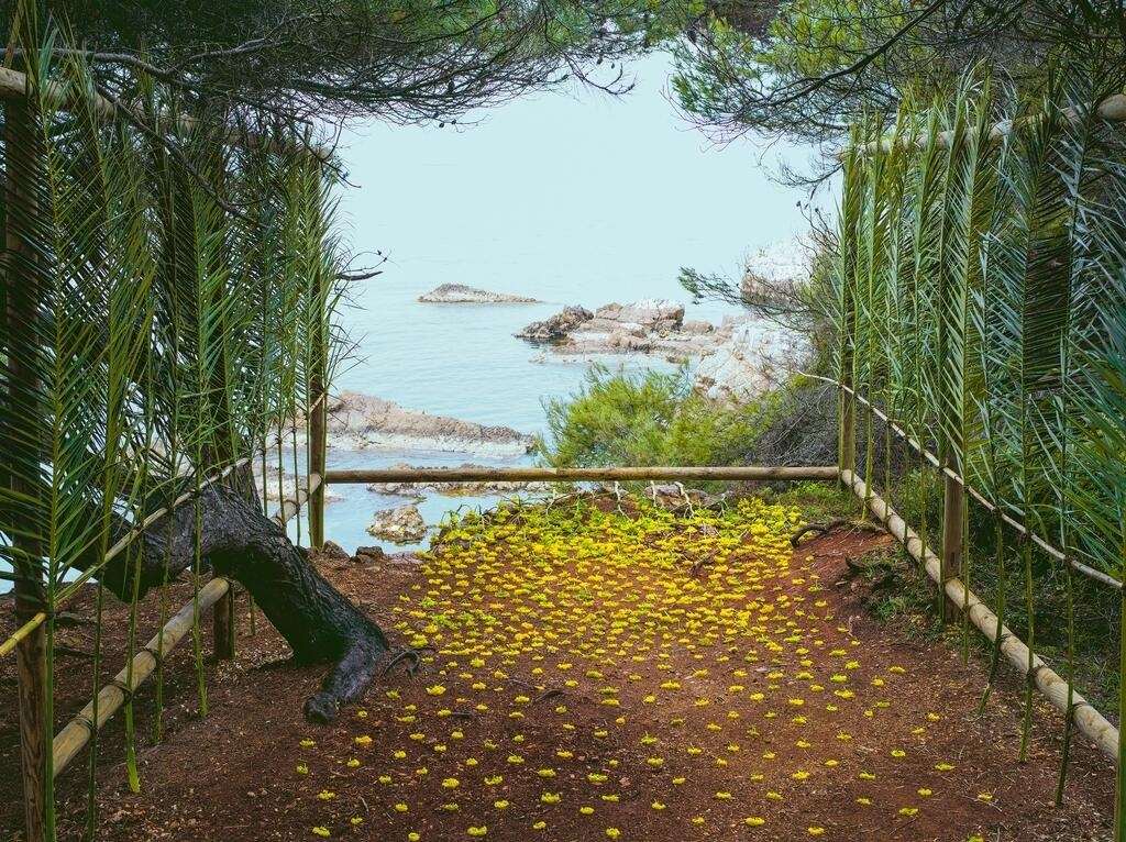 La Mer, Nils-Udo, 2015