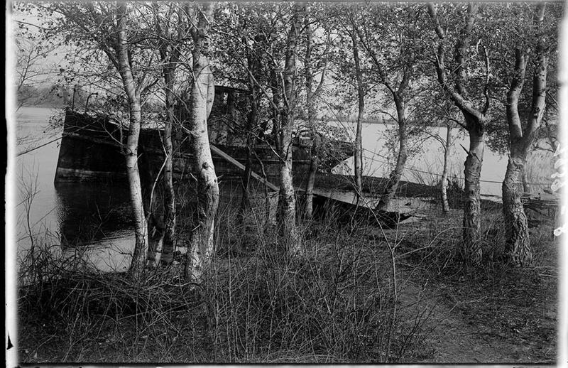 Ripisylve au bord du Grand-Rhône vers Palissade, Esquinau_0