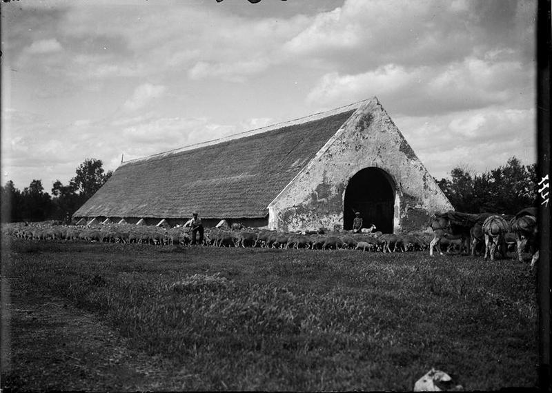 Départ pour la transhumance_0