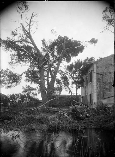 Après la tempête, Carle Naudot, 1910 vers