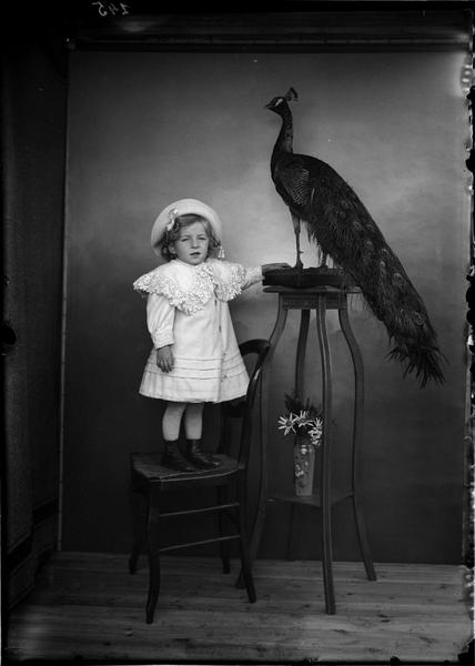 L'enfant et le paon_0