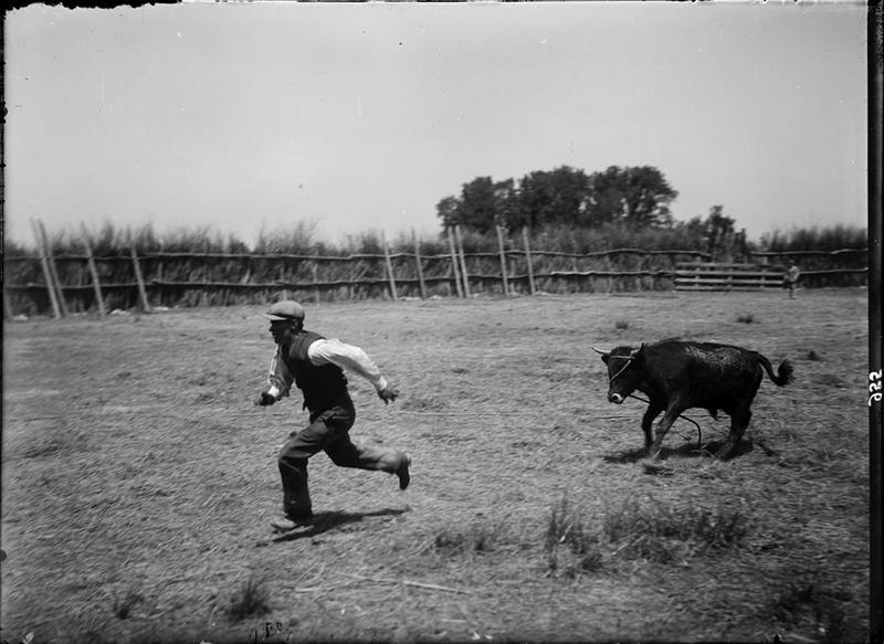 Coursejado, Carle Naudot, 1948 avant