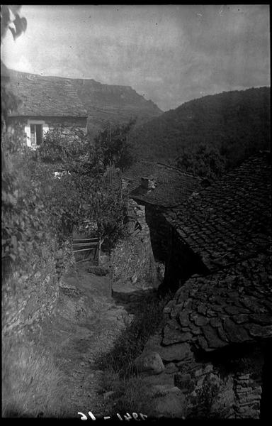Paysage_0