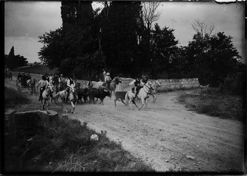 Biòu en route pour la course_0