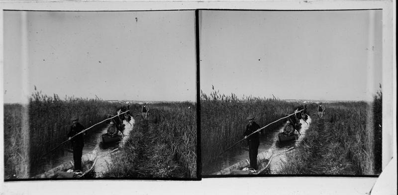 Chasse dans les étangs du Scamandre_0