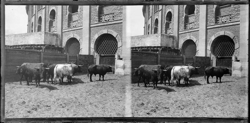 Le corral_0