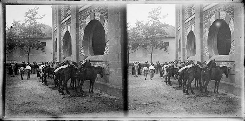 Arènes et cavalerie_0
