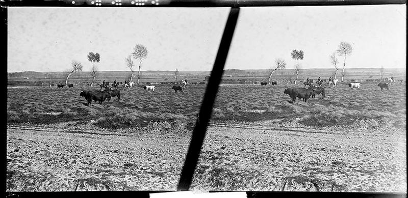 Campo_0