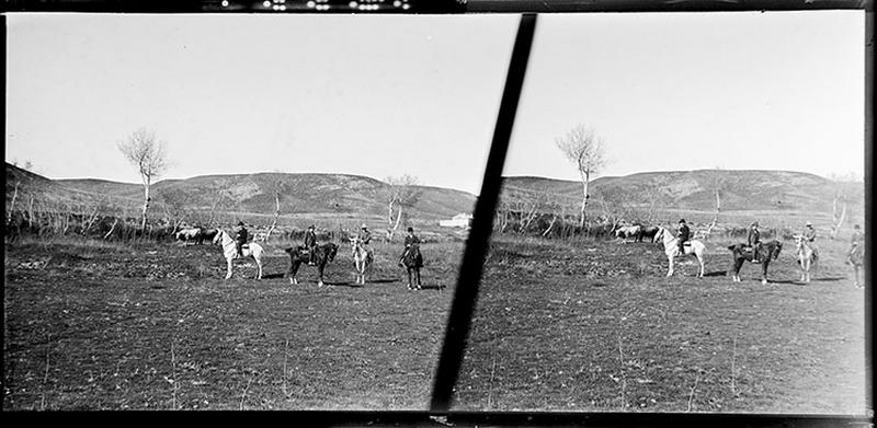 Au campo_0