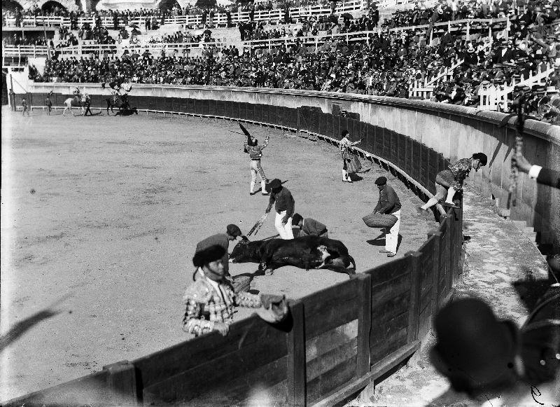 Corrida, Gaston Bouzanquet, 1890 entre,1914 et