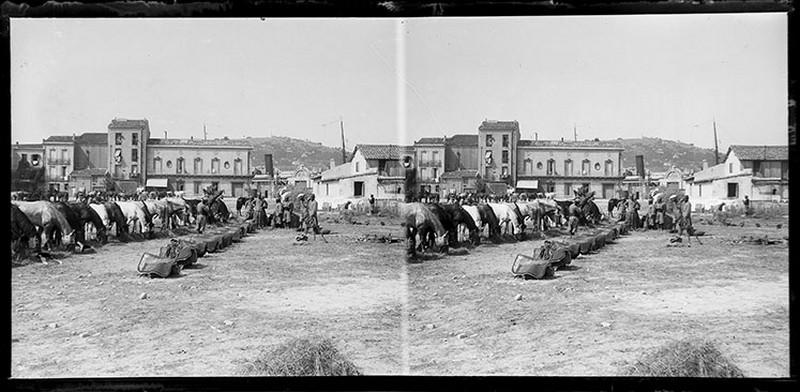 Cavalerie au repos_0
