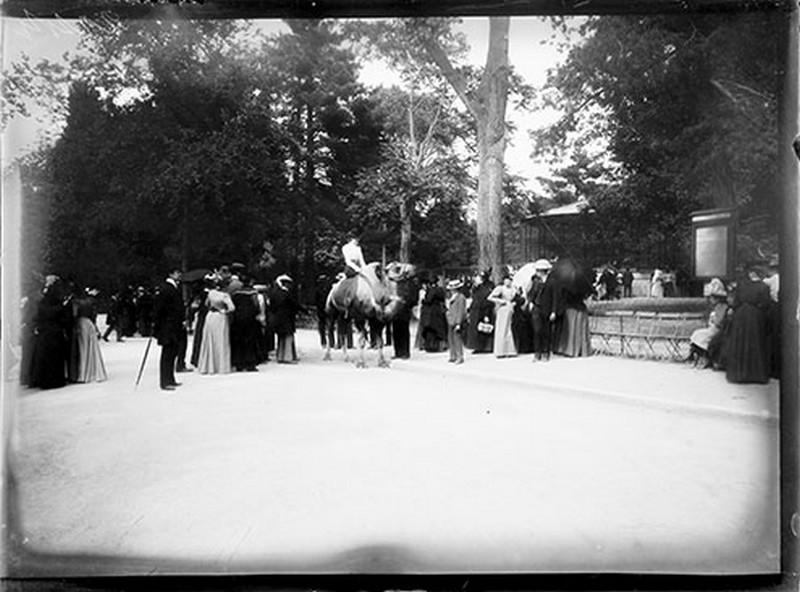 A dos de dromadaire, Gaston Bouzanquet, 1890 entre,1914 et