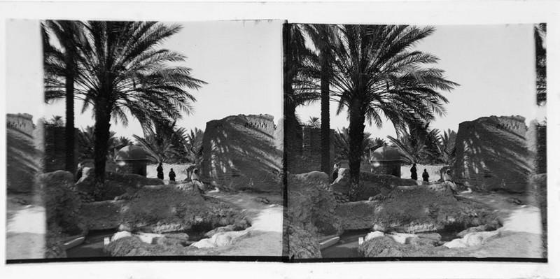 Oasis_0