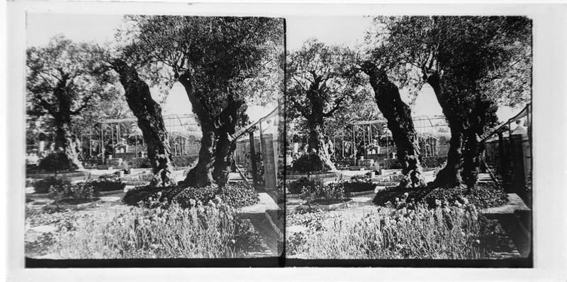 Le jardin de Gethsémani_0