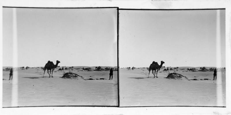 La rencontre_0