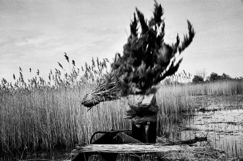 Le paquet de sagne est envoyé dans le negochin, Franck Pourcel, 1994 Janv.