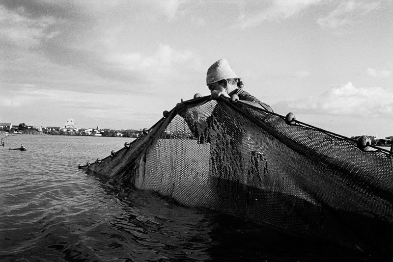 Levée de trabaque à l’étang des Launes, Franck Pourcel, 1994 Nov.