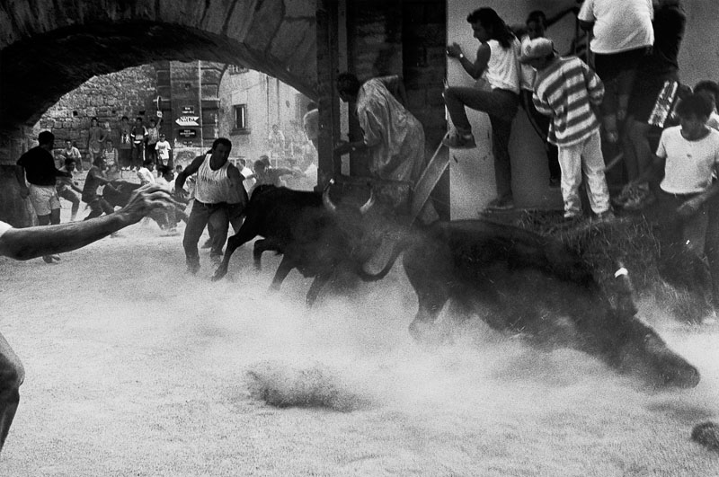 Lâché de cent taureaux dans les rues de Beaucaire, Franck Pourcel, 1998 Juil.