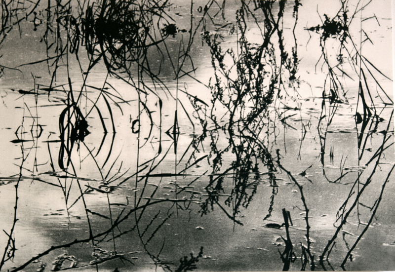 Camargue secrète, Lucien Clergue, 4e quart 20e siècle