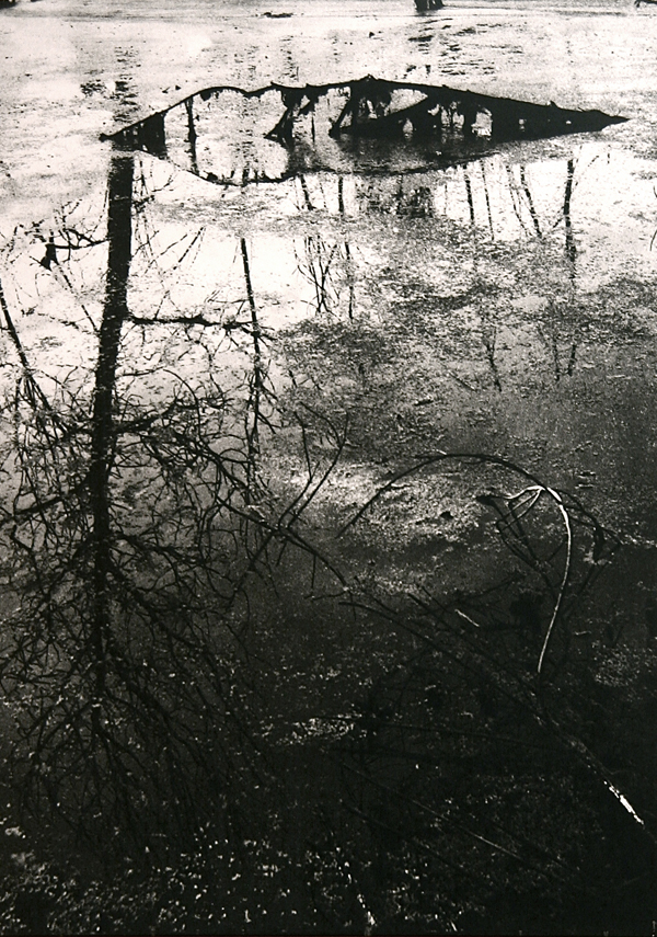Camargue secrète, Lucien Clergue, 4e quart 20e siècle
