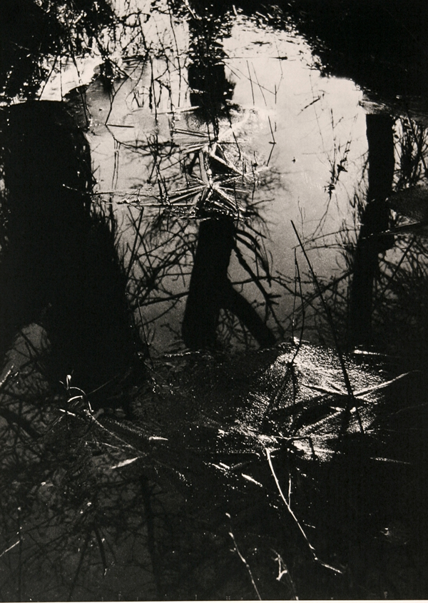 Camargue secrète, Lucien Clergue, 4e quart 20e siècle