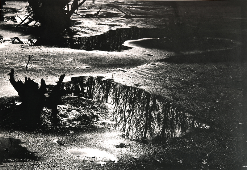 Camargue secrète, Lucien Clergue, 4e quart 20e siècle