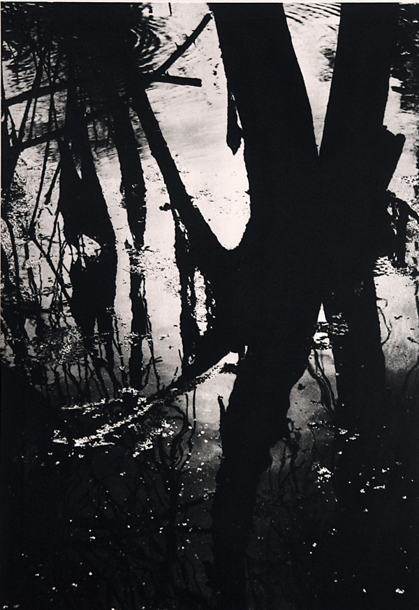 Camargue secrète, Lucien Clergue, 4e quart 20e siècle
