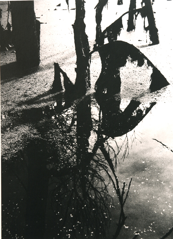 Camargue secrète, Lucien Clergue, 4e quart 20e siècle