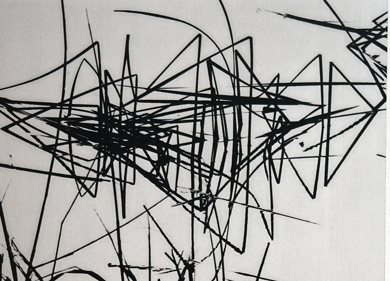 Camargue secrète, Lucien Clergue, 4e quart 20e siècle