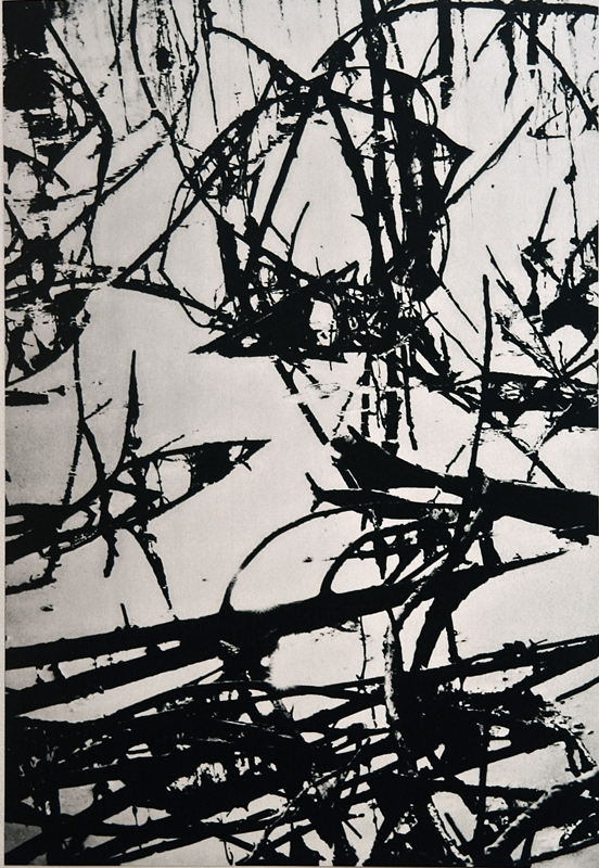 Camargue secrète, Lucien Clergue, 4e quart 20e siècle