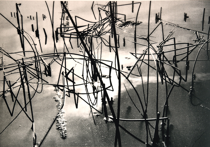 Camargue secrète, Lucien Clergue, 4e quart 20e siècle