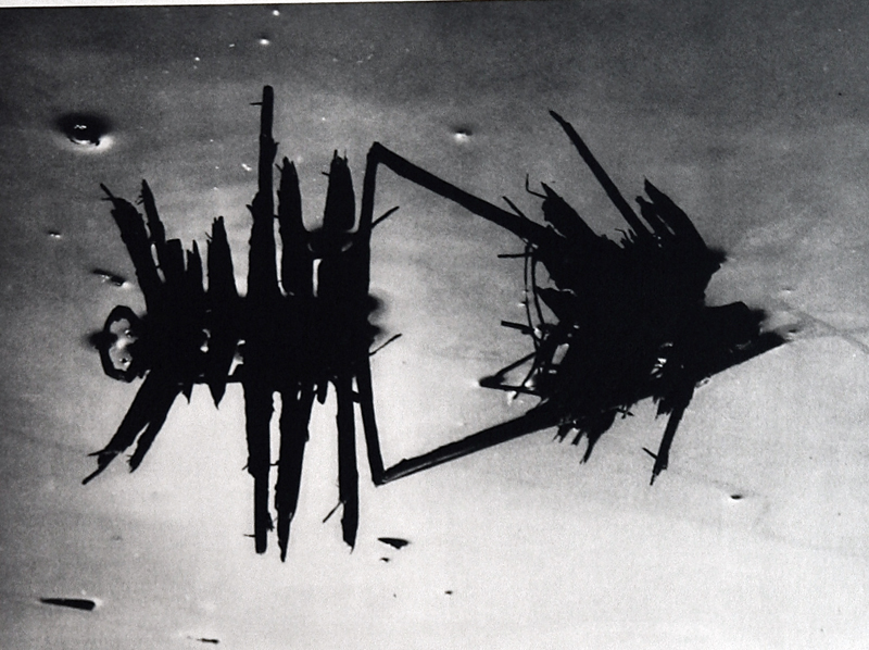 Camargue secrète, Lucien Clergue, 4e quart 20e siècle
