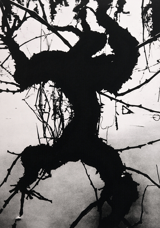 Camargue secrète, Lucien Clergue, 4e quart 20e siècle