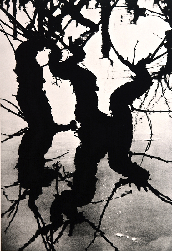 Camargue secrète, Lucien Clergue, 4e quart 20e siècle
