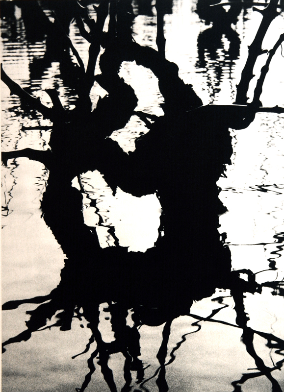 Camargue secrète, Lucien Clergue, 4e quart 20e siècle