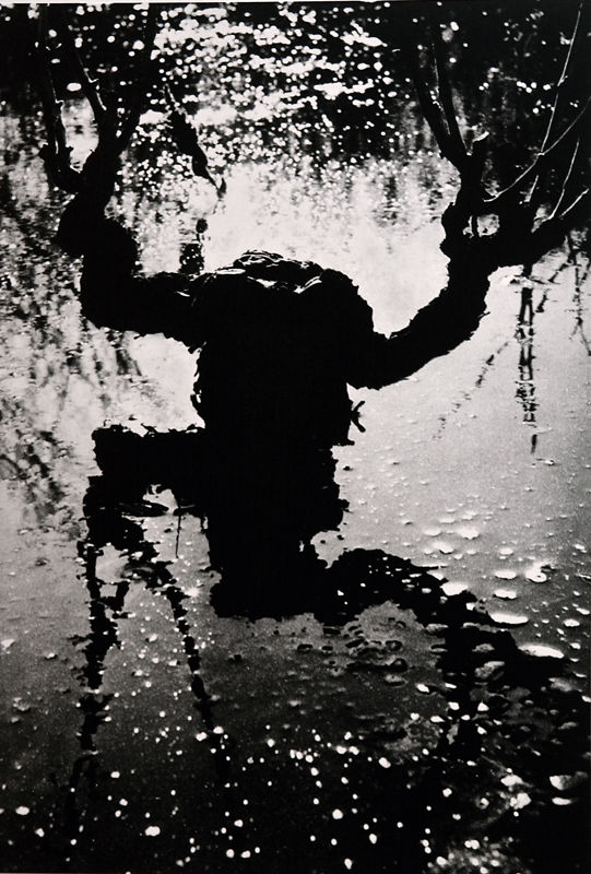 Camargue secrète, Lucien Clergue, 4e quart 20e siècle