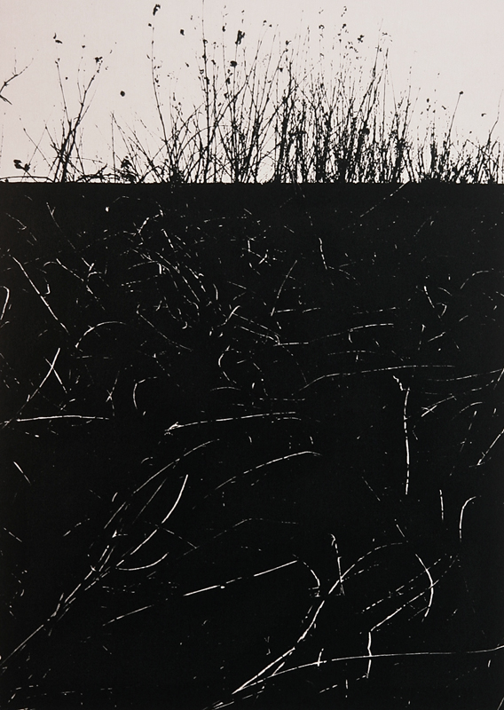 Camargue secrète, Lucien Clergue, 4e quart 20e siècle