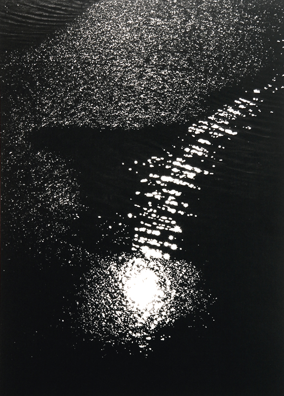 Camargue secrète, Lucien Clergue, 4e quart 20e siècle