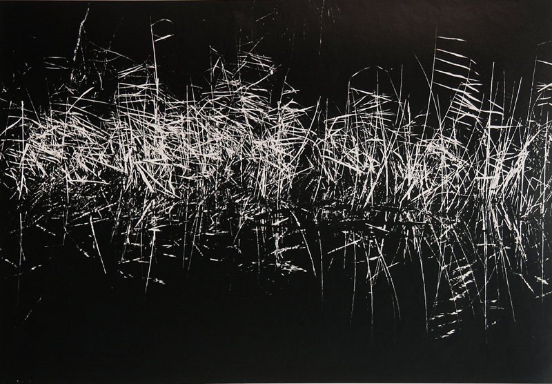 Camargue secrète, Lucien Clergue, 4e quart 20e siècle