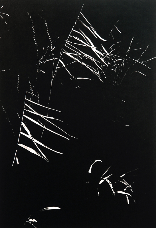 Camargue secrète, Lucien Clergue, 4e quart 20e siècle