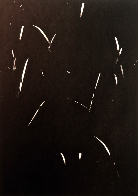 Camargue secrète, Lucien Clergue, 4e quart 20e siècle