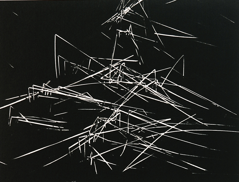 Camargue secrète, Lucien Clergue, 4e quart 20e siècle