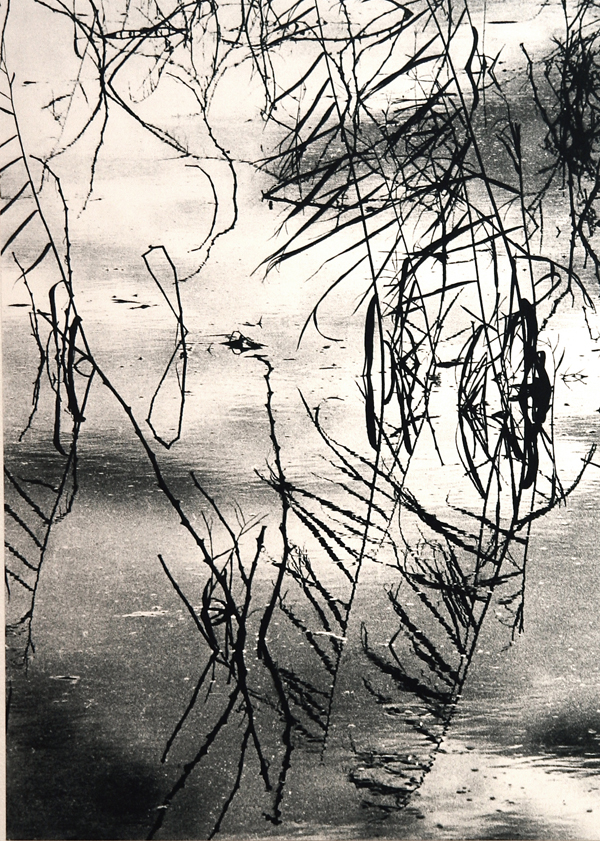 Camargue secrète, Lucien Clergue, 4e quart 20e siècle