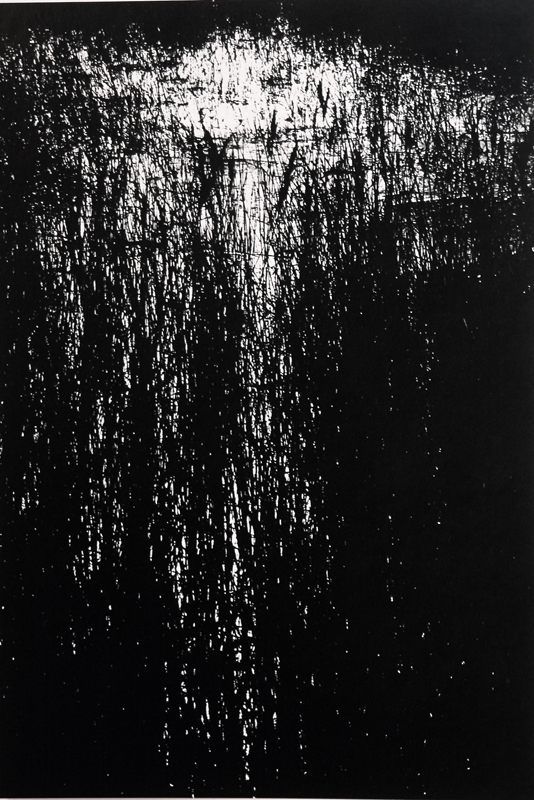 Camargue secrète, Lucien Clergue, 4e quart 20e siècle